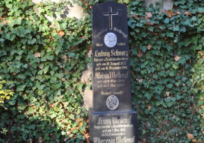 Žatec, Omnium, 2020