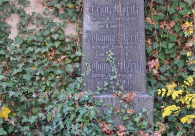 Žatec, Omnium, 2020