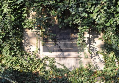 Žatec, Omnium, 2020