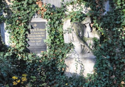 Žatec, Omnium, 2020