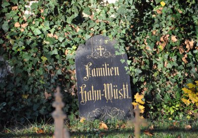 Žatec, Omnium, 2020