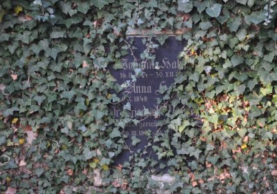 Žatec, Omnium, 2020