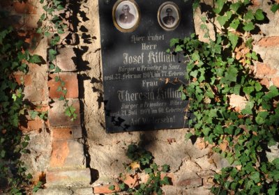 Žatec, Omnium, 2020