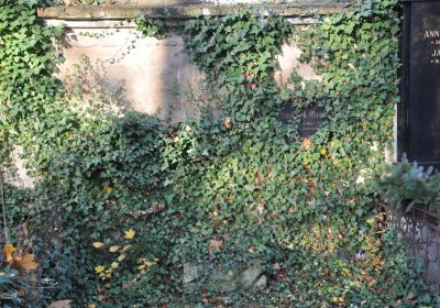 Žatec, Omnium, 2020