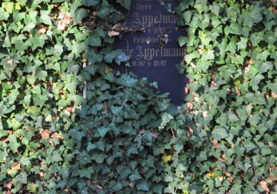 Žatec, Omnium, 2020