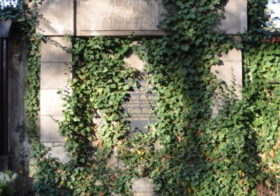 Žatec, Omnium, 2020