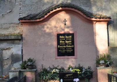 Žatec, Omnium, 2020