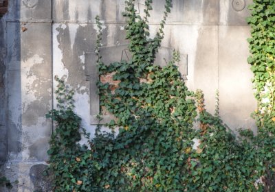 Žatec, Omnium, 2020