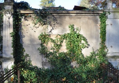 Žatec, Omnium, 2020