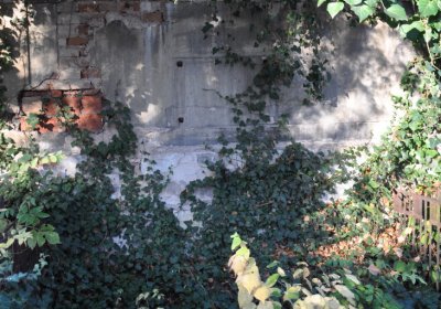 Žatec, Omnium, 2020