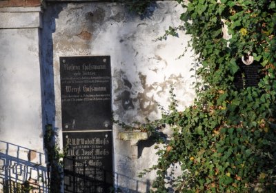 Žatec, Omnium, 2020