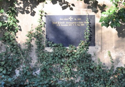 Žatec, Omnium, 2020