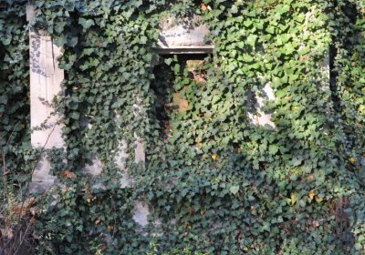 Žatec, Omnium, 2020