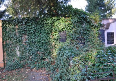 Žatec, Omnium, 2020