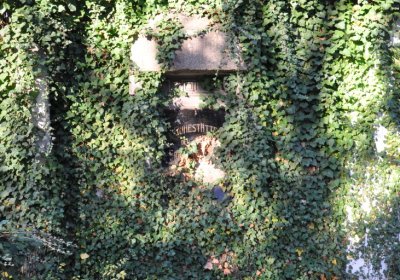 Žatec, Omnium, 2020