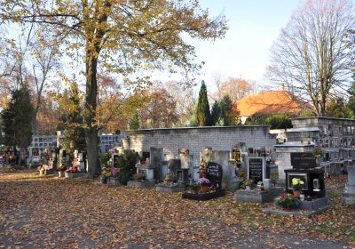 Žatec, Omnium, 2020