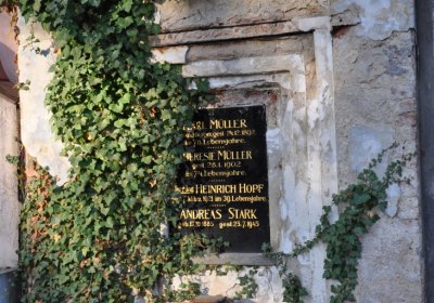 Žatec, Omnium, 2020