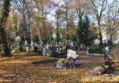 Žatec, Omnium, 2020