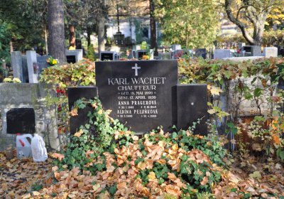 Žatec, Omnium, 2020