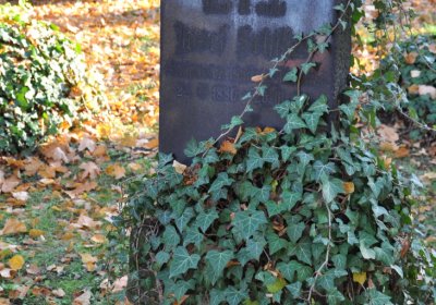 Žatec, Omnium, 2020