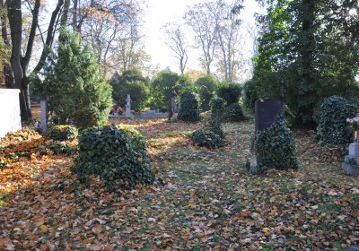 Žatec, Omnium, 2020