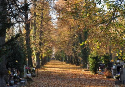 Žatec, Omnium, 2020