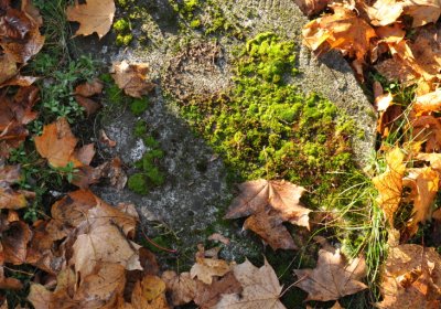 Žatec, Omnium, 2020