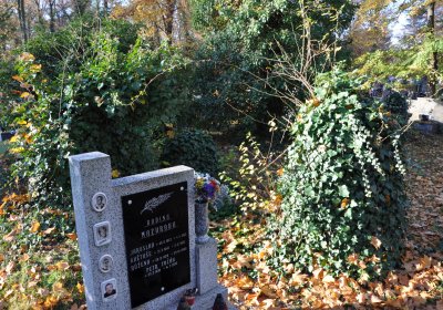 Žatec, Omnium, 2020