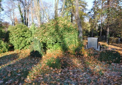 Žatec, Omnium, 2020