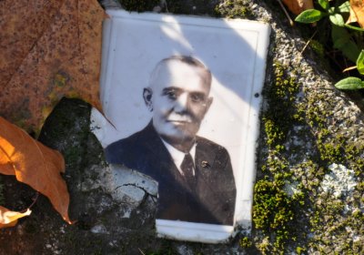 Žatec, Omnium, 2020