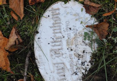 Žatec, Omnium, 2020