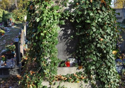 Žatec, Omnium, 2020