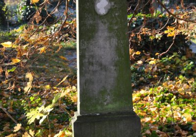 Žatec, Omnium, 2020