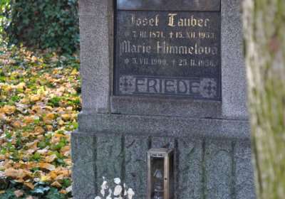 Žatec, Omnium, 2020