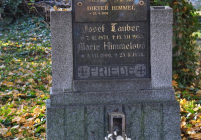 Žatec, Omnium, 2020