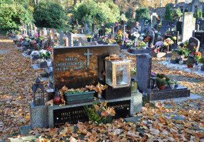 Žatec, Omnium, 2020