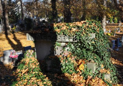 Žatec, Omnium, 2020