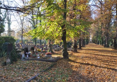 Žatec, Omnium, 2020