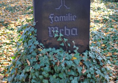 Žatec, Omnium, 2020