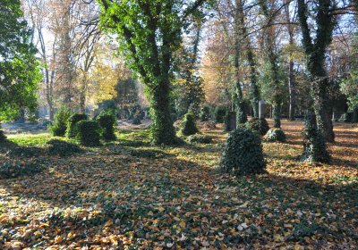 Žatec, Omnium, 2020