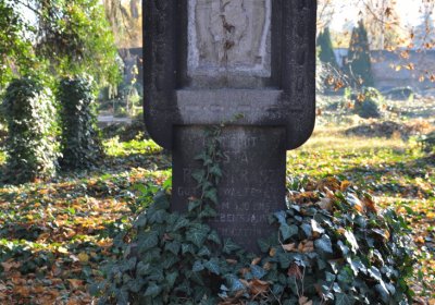 Žatec, Omnium, 2020