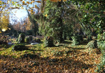 Žatec, Omnium, 2020