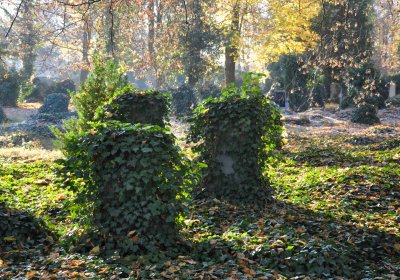 Žatec, Omnium, 2020