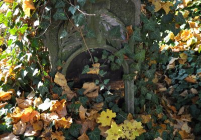 Žatec, Omnium, 2020