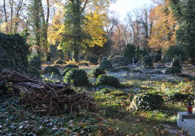 Žatec, Omnium, 2020