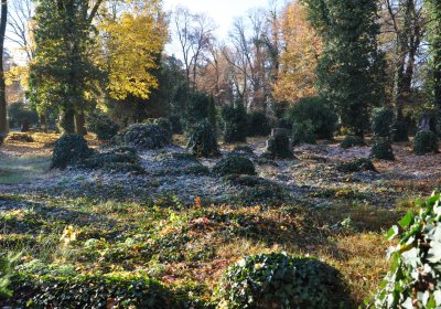 Žatec, Omnium, 2020