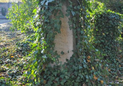 Žatec, Omnium, 2020