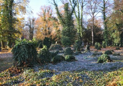 Žatec, Omnium, 2020