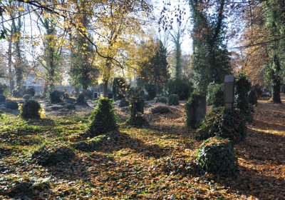 Žatec, Omnium, 2020