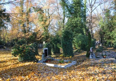 Žatec, Omnium, 2020